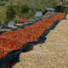 BWENDA - RWANDA - Image 3
