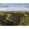 TORIBA - BRAZIL - Image 8