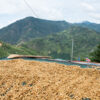 FATHERS DAY BLEND - Image 5