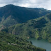 FATHERS DAY BLEND - Image 7