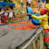 KARAMBI - RWANDA - Image 2