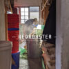 BOTANICAL PUNK - ROASTERS PICK - Image 4