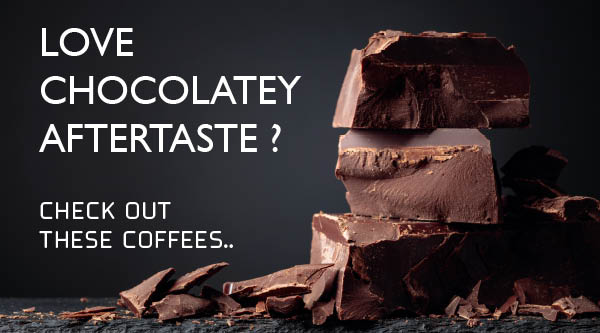 This image shows coffee beans which have chocolate flavour notes and which are for sale at redroaster.co.uk 