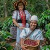 Organic Colombia - SINGLE ORIGIN - Image 3