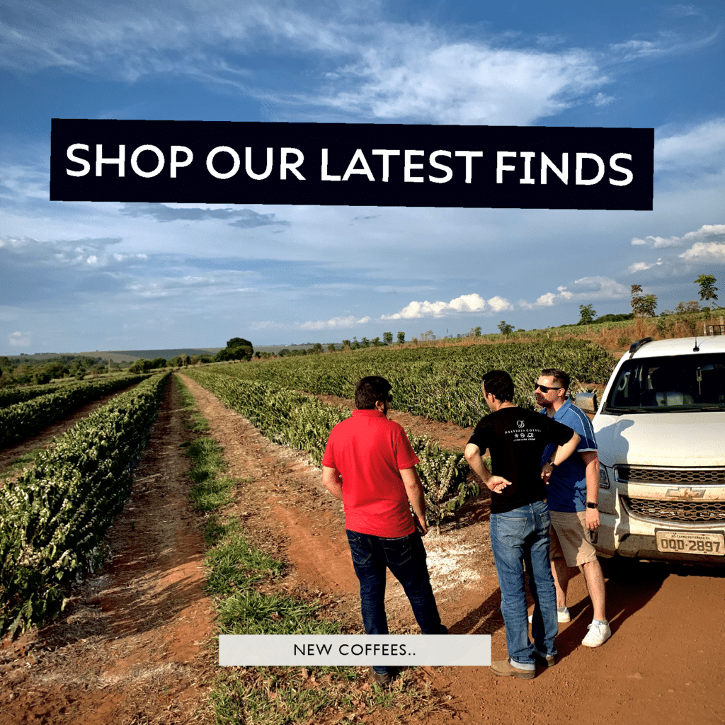 This image shows farmers discussing coffee beans in Brazil (DBarbosa Coffee) which are for sale on redroaster.co.uk 